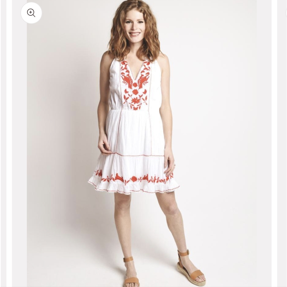 JOIE  Embroidered Clemency Dress xs